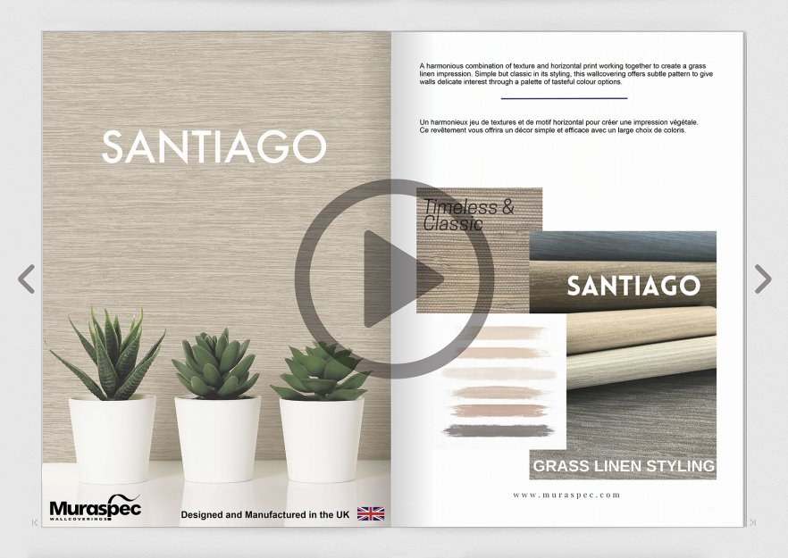 New In Santiago E-Book